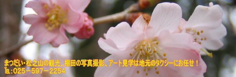 ヘッダーイメージ